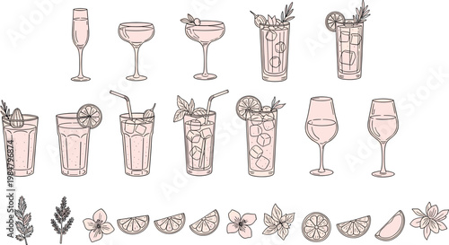 Cocktail glasses and garnishes illustrations