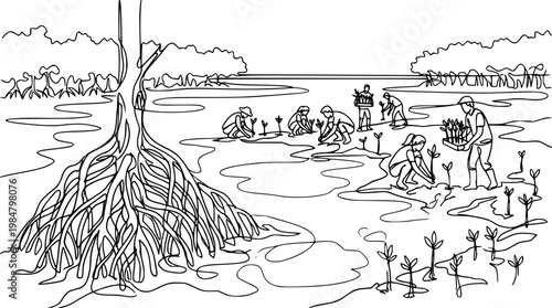 People planting mangrove saplings in a coastal wetland area