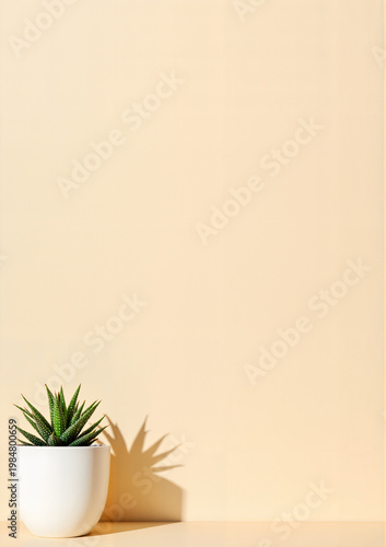 Potted succulent plant on wooden surface against pastel background for Health Day  