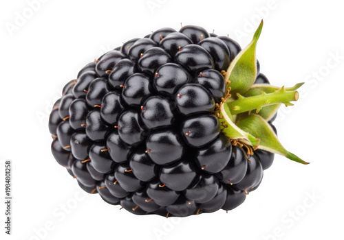 Blackberry fruit isolated on transparent background
