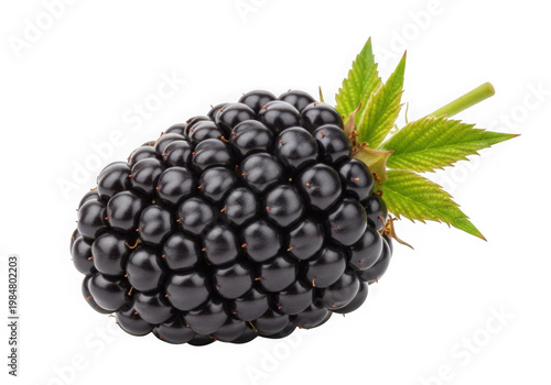 Blackberry with leaf isolated on transparent background