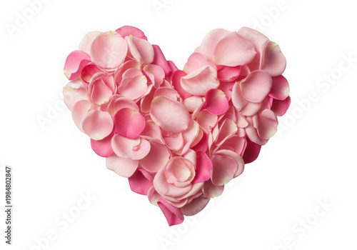 Heart shape of rose petals isolated on transparent background