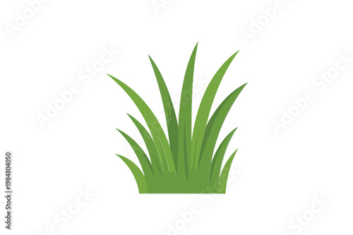 A simple illustration depicts a cluster of vibrant green grass blades against white