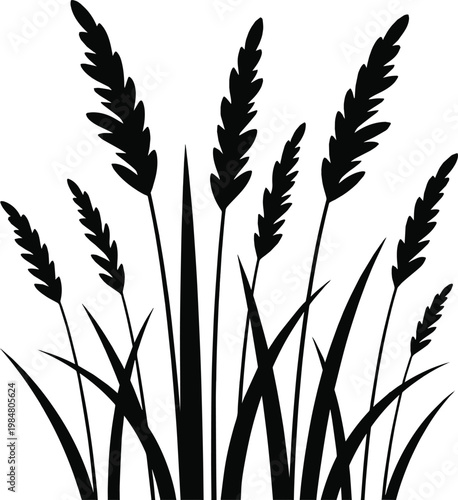 Created on Set of grass silhouettes vector art on white background