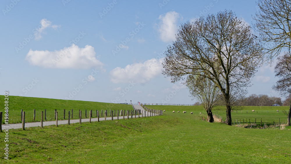 Fototapeta premium Elblandschaft