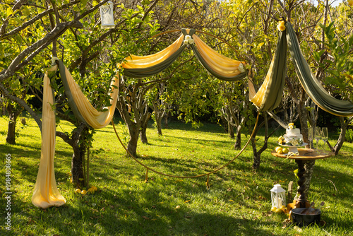 Round hoop arch draping yellow fabric anchoring table with cake, lemons, lanterns in citrus orchard