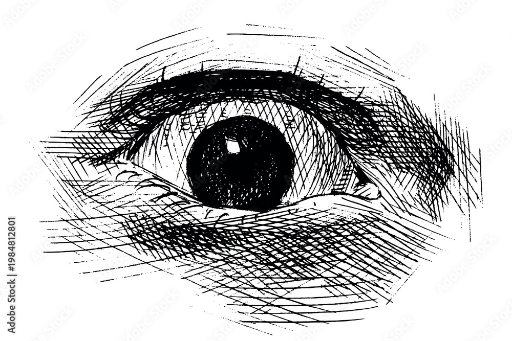 Obraz premium Man eye drawing. Expression with a significant emotion hand drawn ballpoint pen illustration traced in vector. 