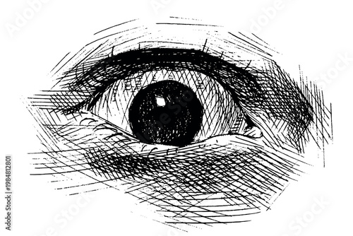 Man eye drawing. Expression with a significant emotion hand drawn ballpoint pen illustration traced in vector. 