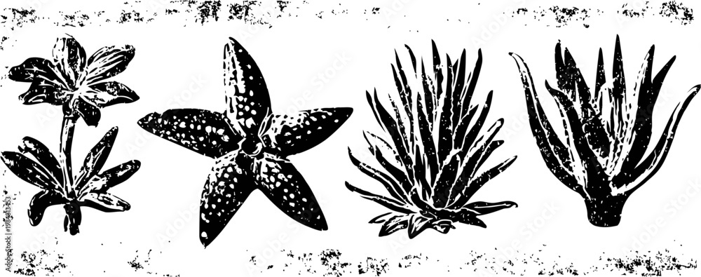 Fototapeta premium Illustrations of various desert plants and cacti with distinctive shapes and textures