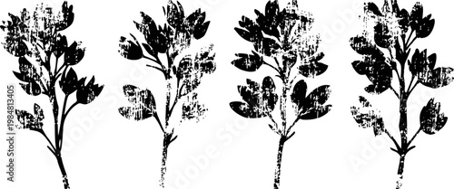 set of four botanical branch silhouettes with leaves and flowers in black ink