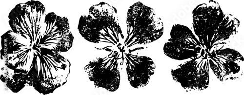Black and white floral prints set of three stylized flower imprints with textured petals and organic shapes