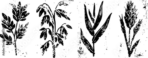black botanical silhouettes of various wild plants and herbs with detailed leaf and stem patterns