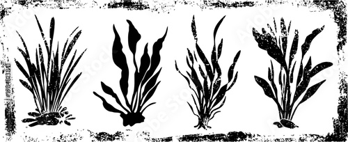 black silhouette aquatic plants set with roots, underwater foliage, and rough textured frame