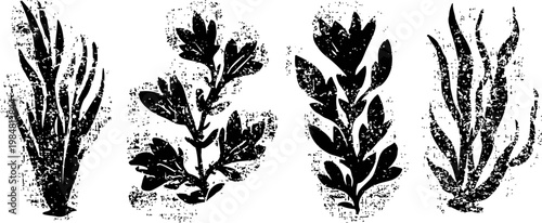 Grayscale seaweed icon set various aquatic plants in silhouette nature underwater algae collection