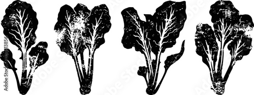 Four black and white kale leaf silhouettes leafy vegetable icons in vintage natural organic produce illustration