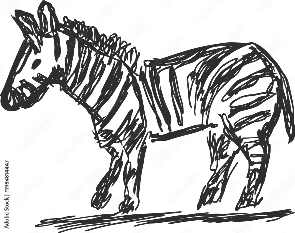 Obraz premium Hand drawn zebra sketch with expressive black ink lines on white background, wild animal art illustration