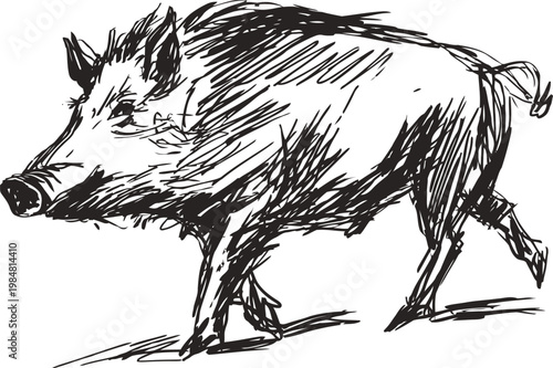 Wild boar sketch hand drawn illustration of a running wild pig with coarse fur and visible tusks