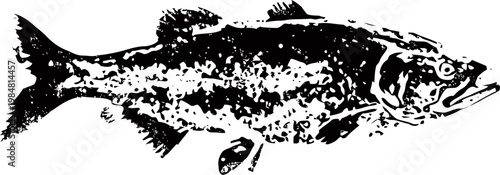 Black ink fish sketch with textured body and detailed fins illustration