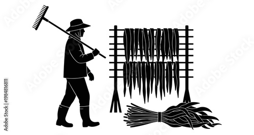 Farmer with rake beside drying fish rack and harvested catch during sunset silhouette