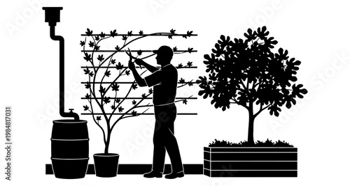 Gardener pruning vine against trellis with rain barrel and potted tree silhouette