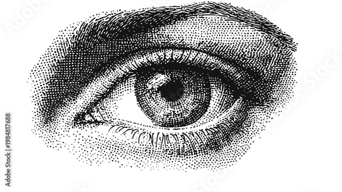 Detailed vector illustration of a human eye with realistic shading and texture