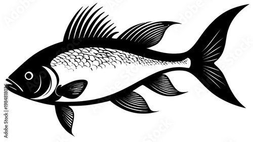 Detailed vector illustration of a fish with fins and scales