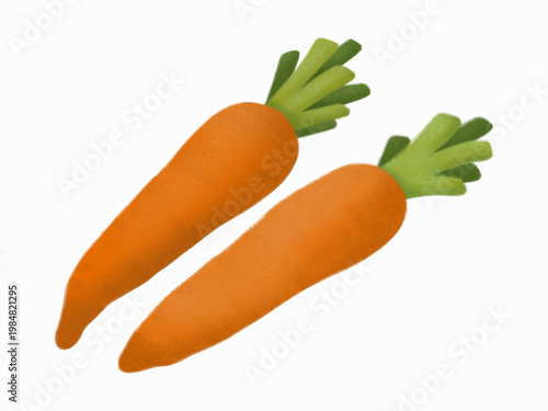 A vibrant and textured digital illustration featuring a pair of fresh orange carrots.