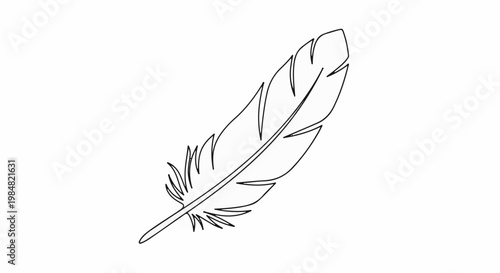 A simple, elegant line drawing of a single feather on a white background
