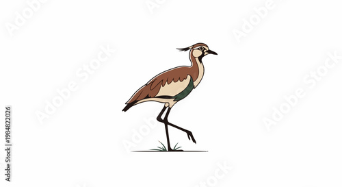 Stylized cartoon of a long-legged bird with brown, cream, and green plumage