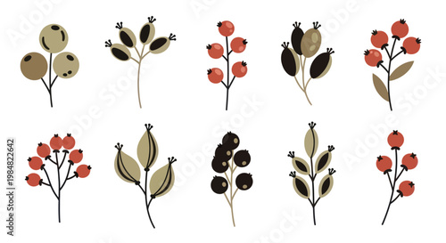 Set of minimalist autumn berry branches and botanical icons on a white background