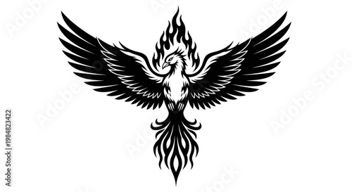 Black and White Phoenix Rising from Flames.