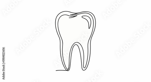 Simple line drawing of a single molar tooth with root structure