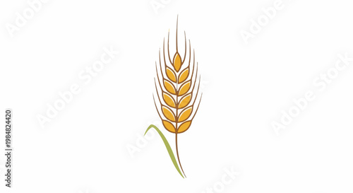 Stylized illustration of a single ripe wheat stalk with green stem