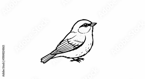 Minimalist black and white outline illustration of a small bird
