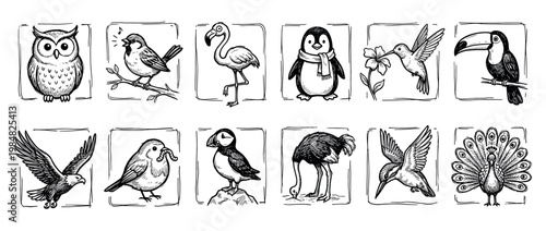 Twelve distinct hand-drawn bird illustrations are presented in a charming black and white sketch style, showcasing various species including an owl, flamingo, penguin, and peacock