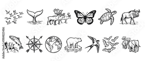 Large collection of hand-drawn animal illustrations in a vintage engraving style, depicting various species associated with wildlife migration, nature, and global travel