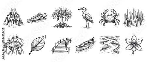 Diverse collection of hand-drawn mangrove ecosystem elements, featuring various plants, animals, and structures in a detailed black and white sketch style
