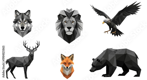 Wild Animals Collage Wolf Lion Deer.