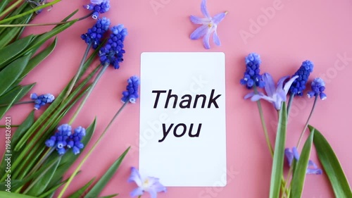 natural floral flat lay with blue blossoms on pastel pink background