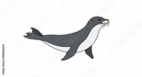 Cartoonish gray seal with white belly, flippers, and tail