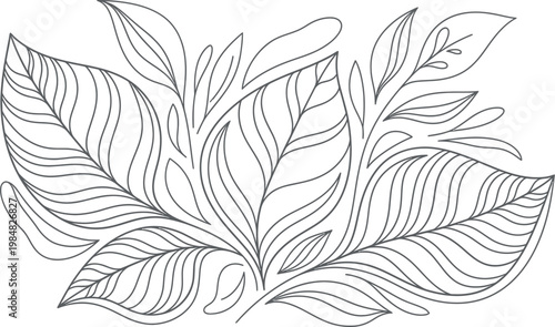 Elegant hand drawn black and white line art illustration featuring a beautiful arrangement of abstract organic leaves, perfect for a tranquil adult coloring book page or decorative graphic element.