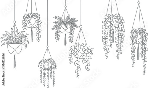 A collection of seven beautifully rendered line art hanging plants in macrame holders offers a minimalist and stylish botanical illustration for home decor and indoor garden design elements.