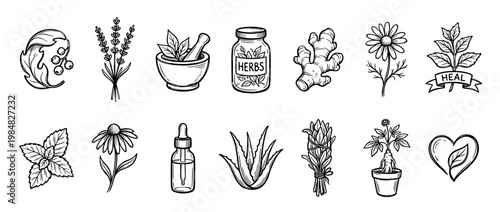 Set of hand-drawn herbal medicine icons featuring various plants, flowers, and natural remedies in a black and white sketch style for wellness and alternative therapy concepts