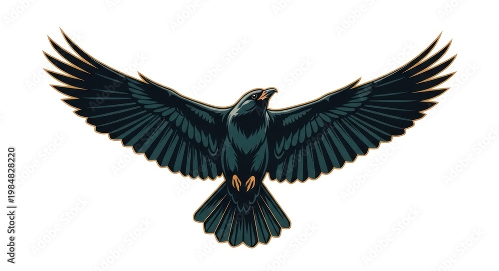 Fototapeta premium Soaring bird with outstretched wings isolated against a plain background