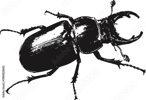 Black stag beetle illustration with large mandibles and detailed exoskeleton on white background