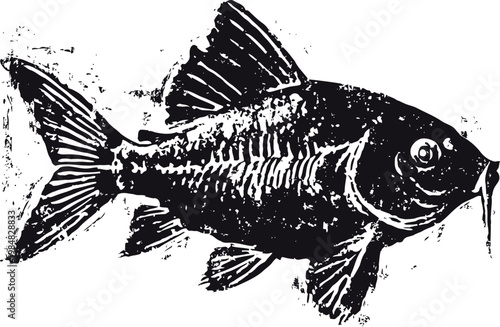 Black and white illustration of a carp fish with detailed scales and fins