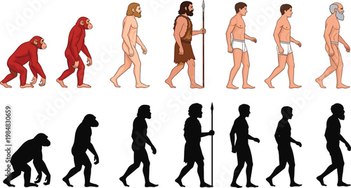 Human Evolution Set Showing Progression from Ape to Modern Man with Detailed Figures and Silhouettes Illustrating Biological Development, History, and Evolutionary Timeline Concept.