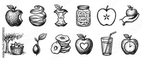 Collection of hand-drawn apple sketches showing various fruit forms like a whole apple, core, peel, juice, dried chips, and a tree with a basket in a black ink doodle style