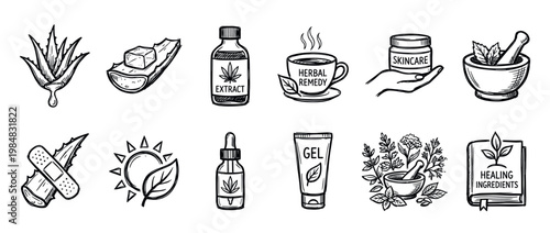 This collection of hand-drawn herbal medicine and natural skincare icons features aloe vera, extracts, remedies, and healing ingredients in a detailed, illustrative style