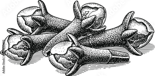 Close-up of dried whole cloves in a textured illustrative style with subtle shading for culinary appeal
